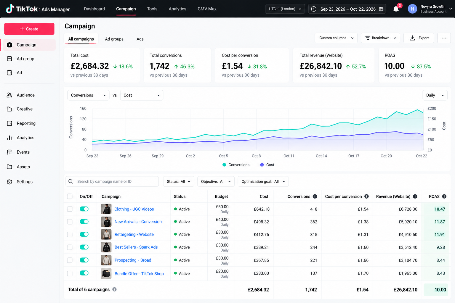TikTok Ads Manager performance dashboard example